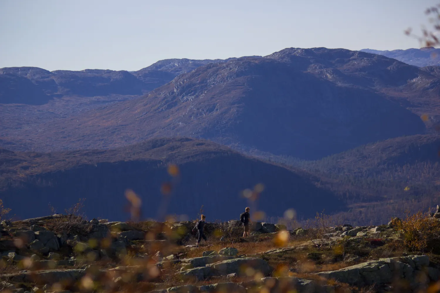 Vandring Høst Tur