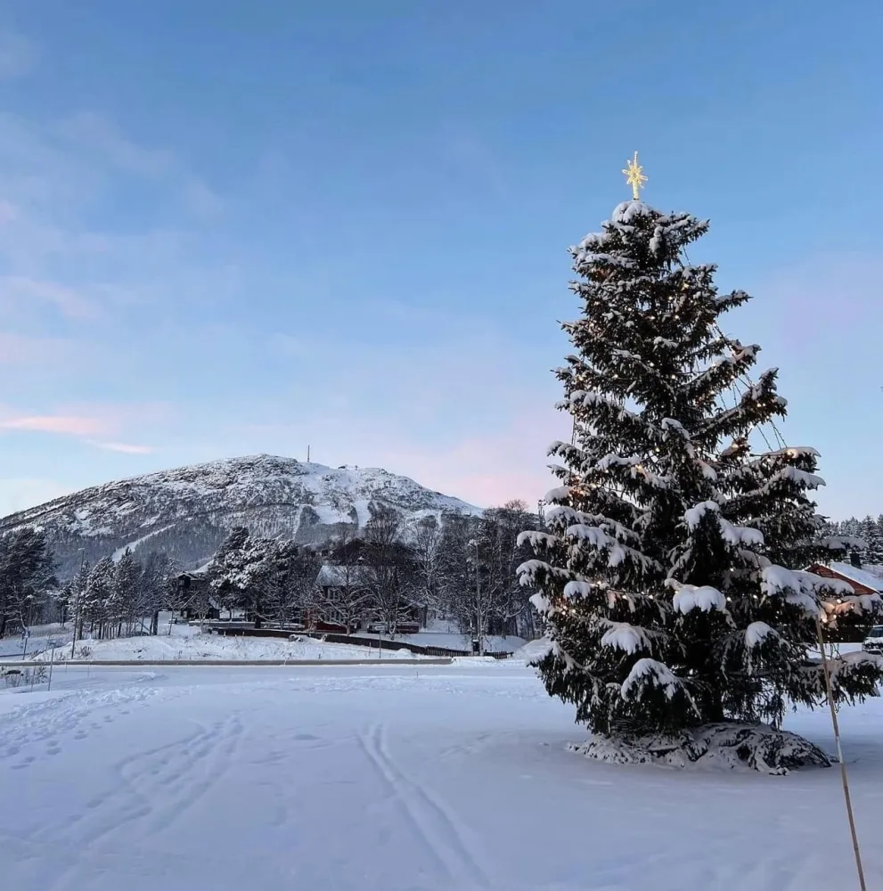 Juletreet i Julebyen Hovden med skisenteret i bakgrunnen